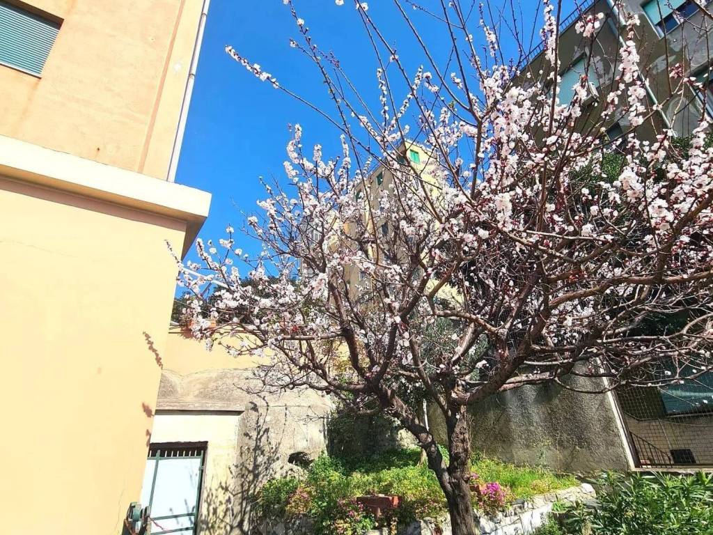 Appartamento a Genova in Via San Bartolomeo Del Fossato - Foto 3