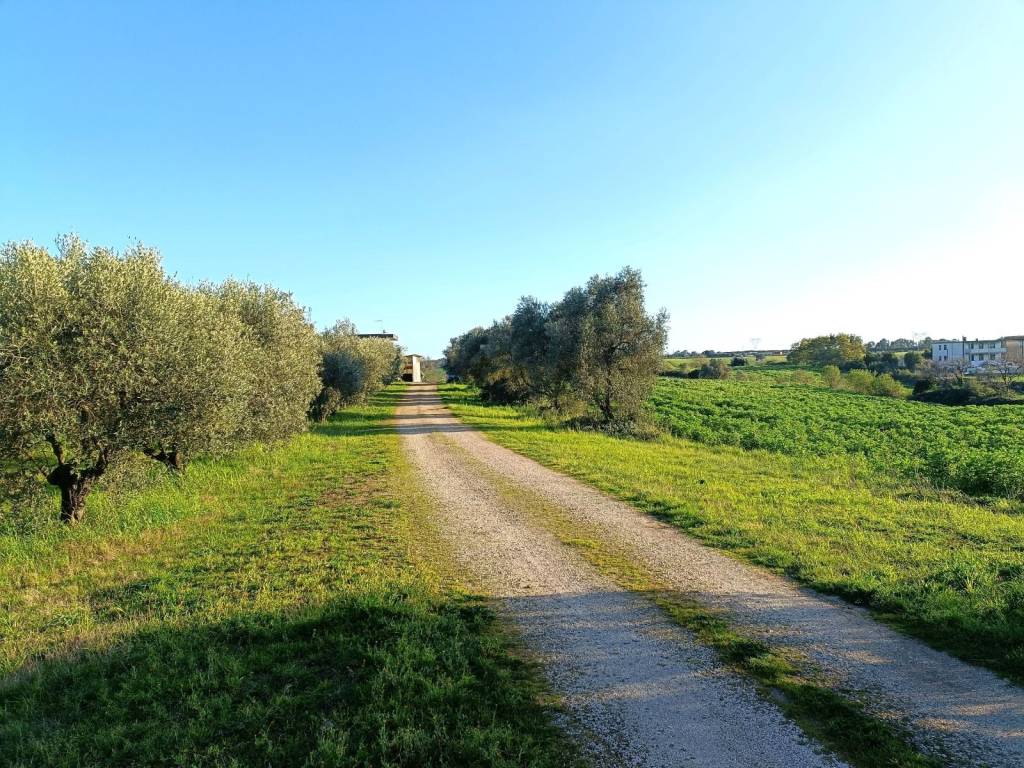 Villa a Aprilia in Via del Tronco, 7 - Foto 2