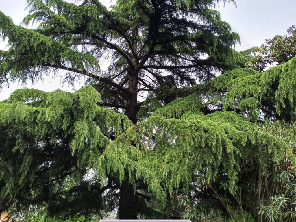 Villa a Morolo in Contrada Cerquotti - Foto 5