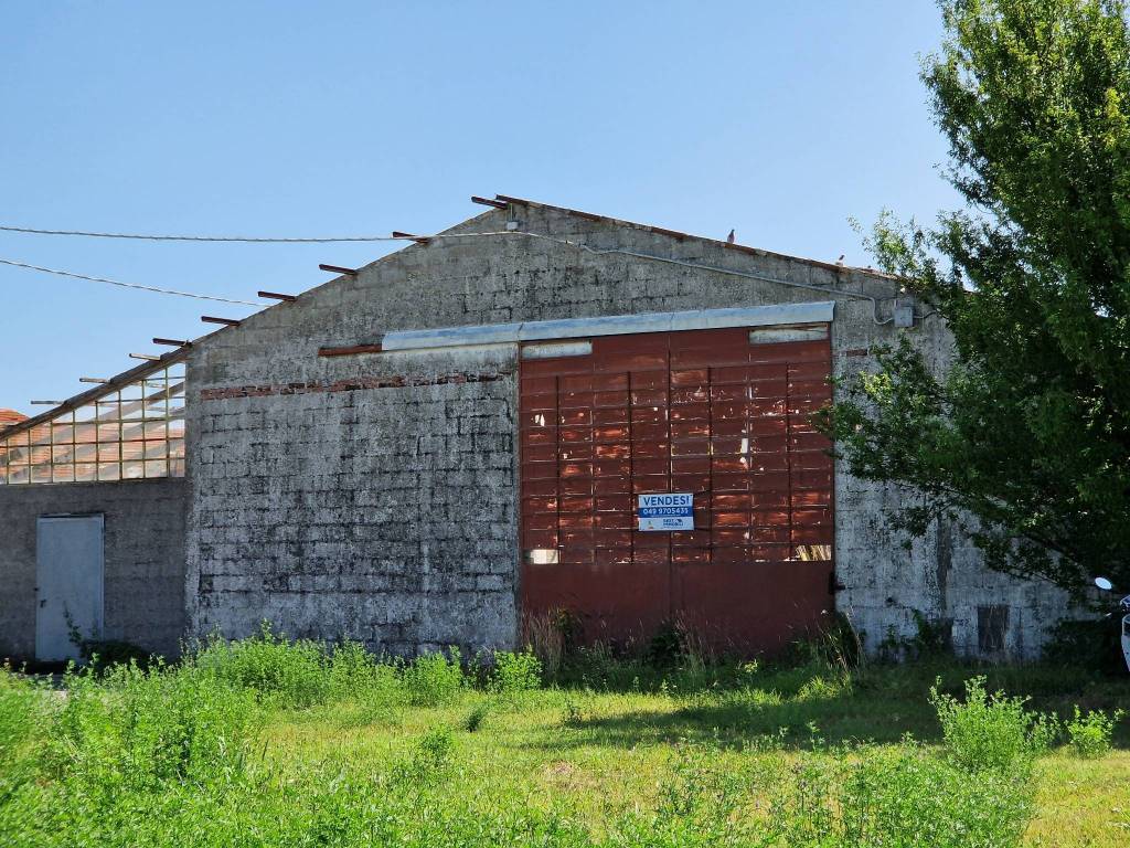 Immobile a Arzergrande in Via Umberto I, 150 - Foto 4
