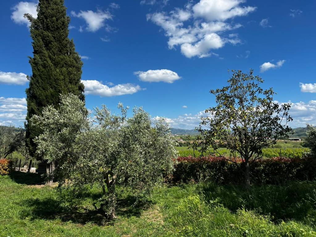 Villa a Benevento in Contrada San Chirico - Foto 3