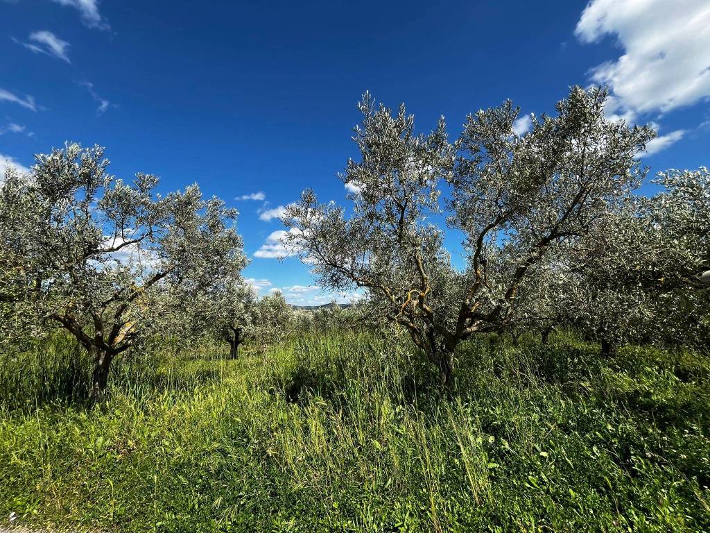 Villa a Benevento in Contrada San Chirico - Foto 4