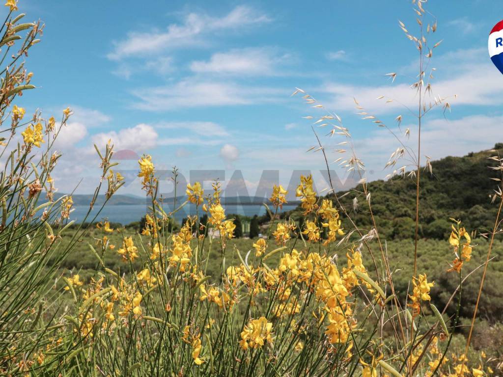 Villetta a schiera a Monte argentario - Foto 3