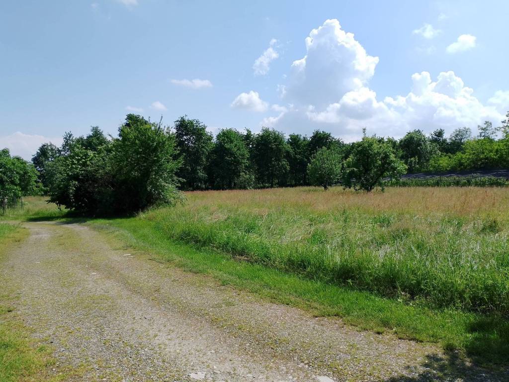 Rustico / casale a Bagnolo piemonte in Via Sant'Anna, 32 - Foto 2