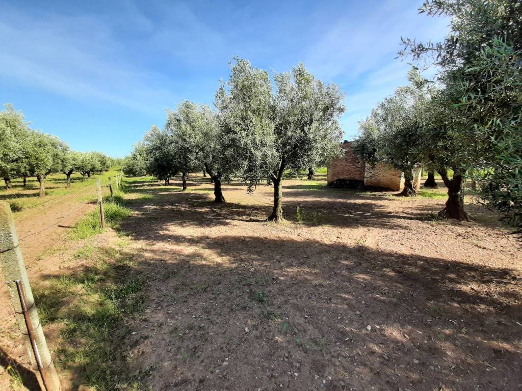 Terreno a Lamezia terme - Foto 4