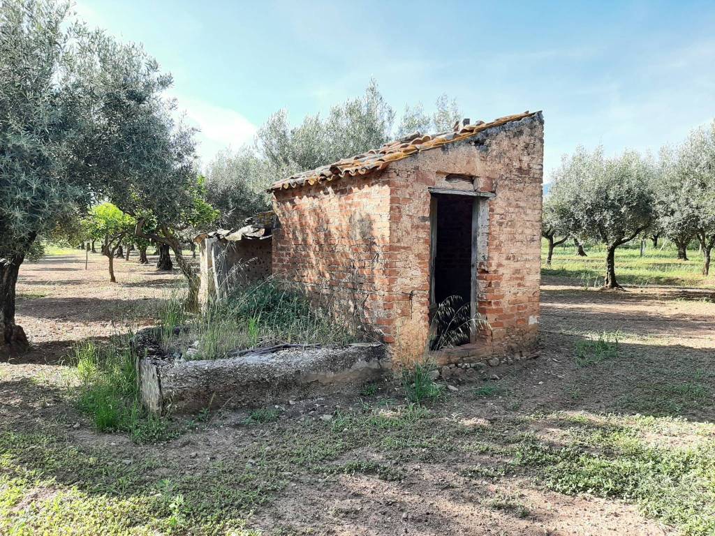 Terreno a Lamezia terme - Foto 5