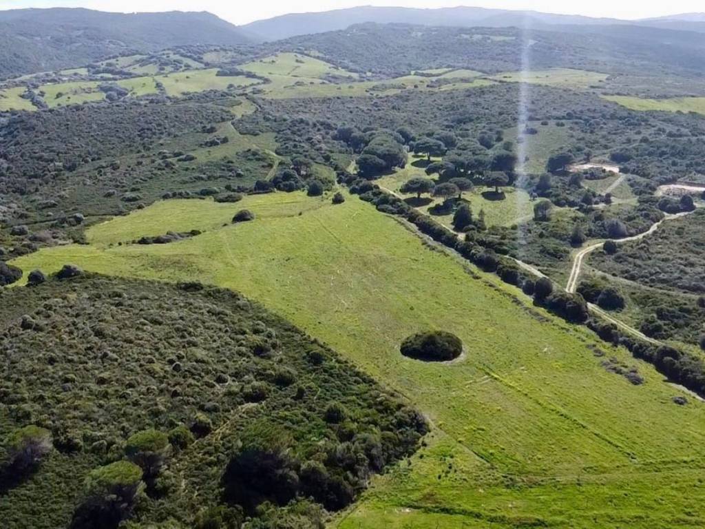 Terreno a Aglientu in Sp - Foto 4
