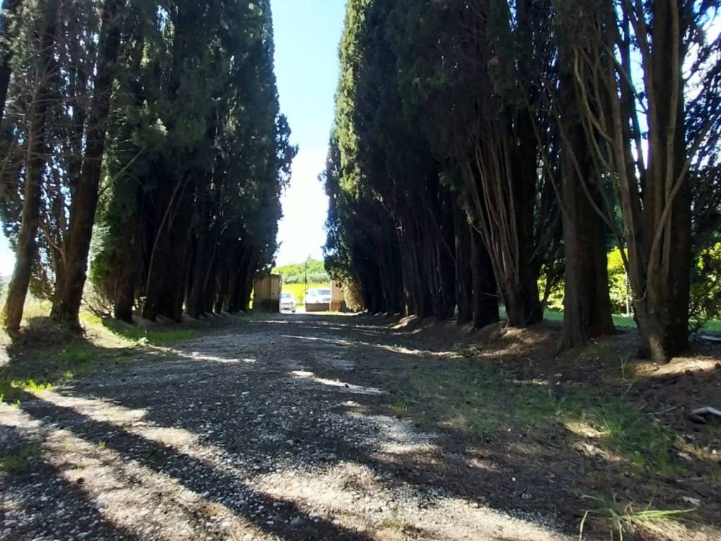 Villa a Bevagna in Via Pian di Boccio - Foto 5