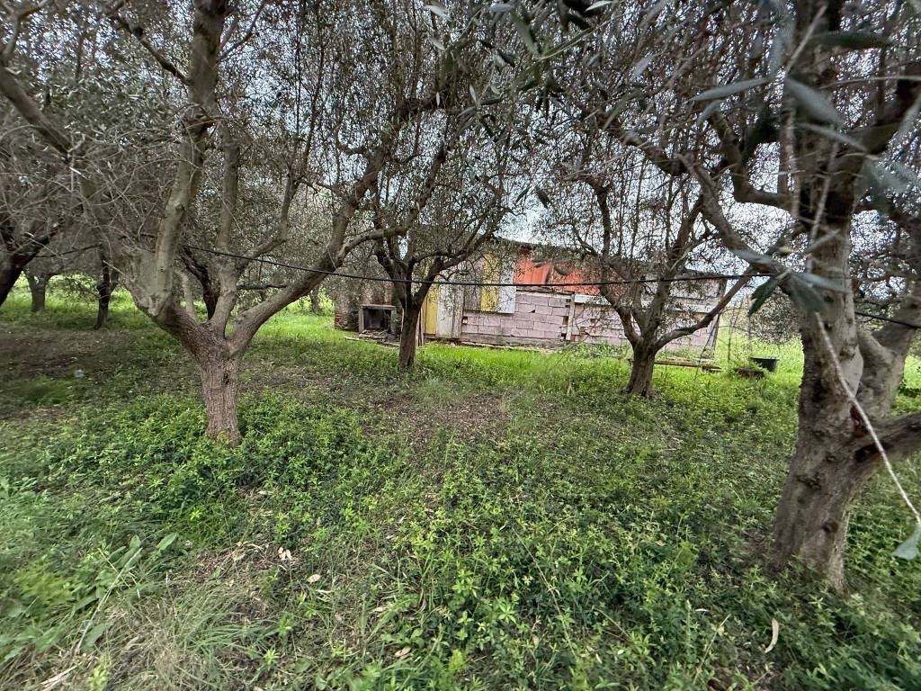 Terreno a Tarquinia in Strada Sant'Agostino - Foto 4