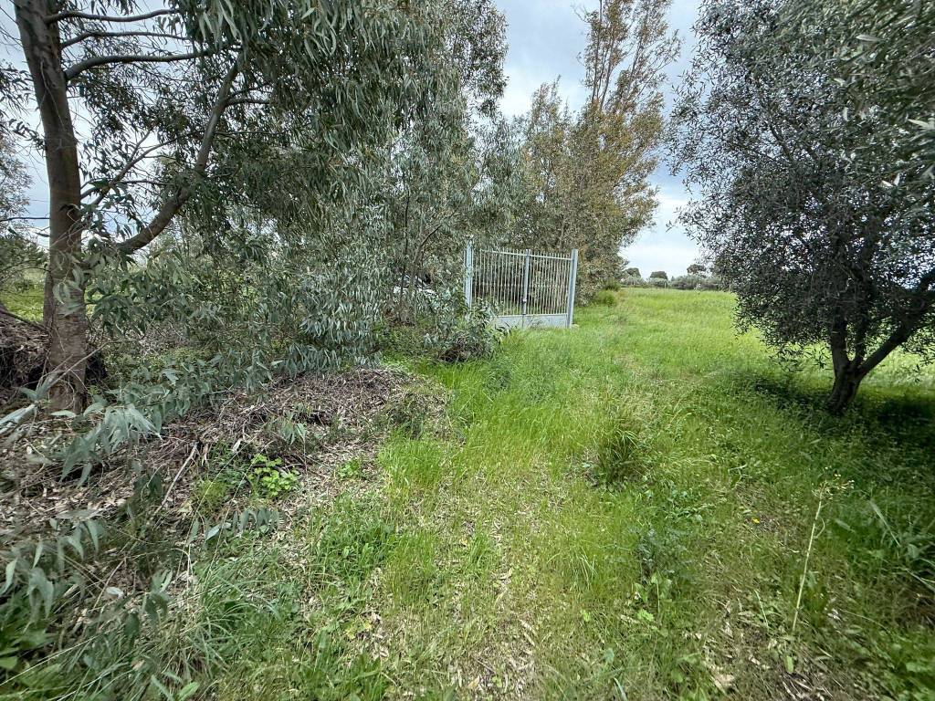 Immobile a Tarquinia in Strada Sant'Agostino - Foto 3