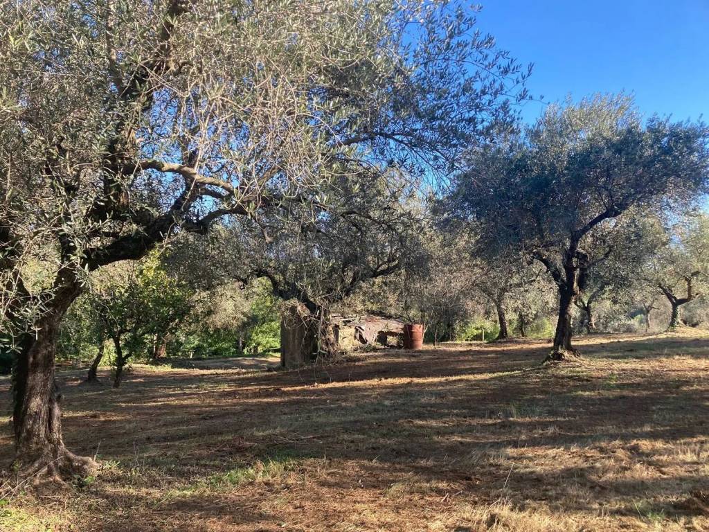Villa a Cisterna di latina in Via Virgilio - Foto 3