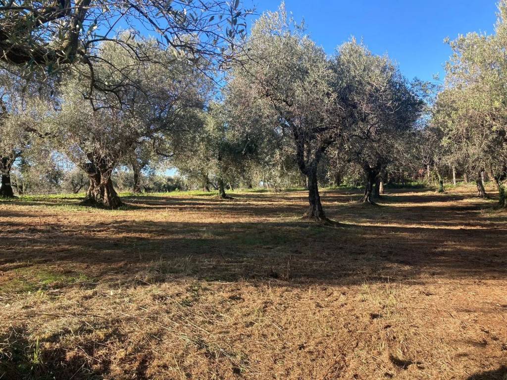 Villa a Cisterna di latina in Via Virgilio - Foto 4