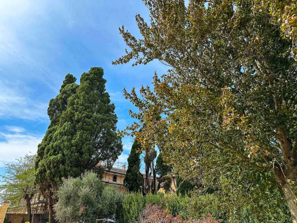 Appartamento a Siena in Strada di Fogliano Grosso - Foto 3