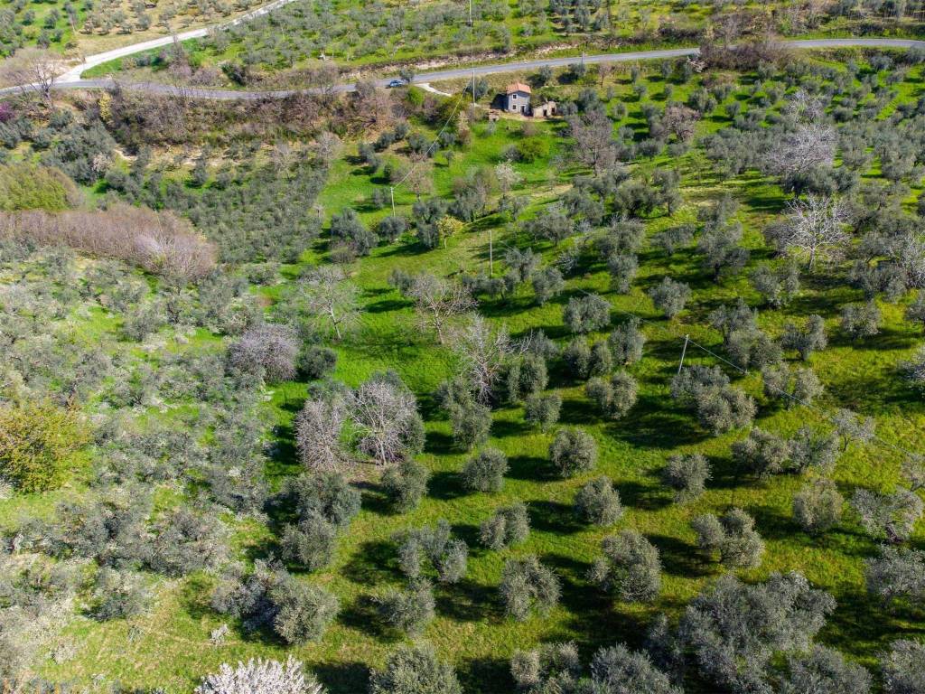Rustico / casale a Toffia in Via Farense - Foto 3