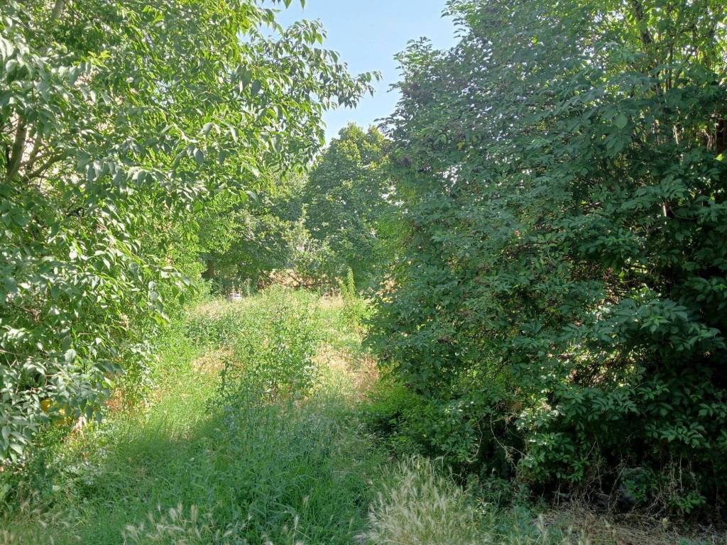 Rustico / casale a Lugo in Viale De' Brozzi, 26 - Foto 2