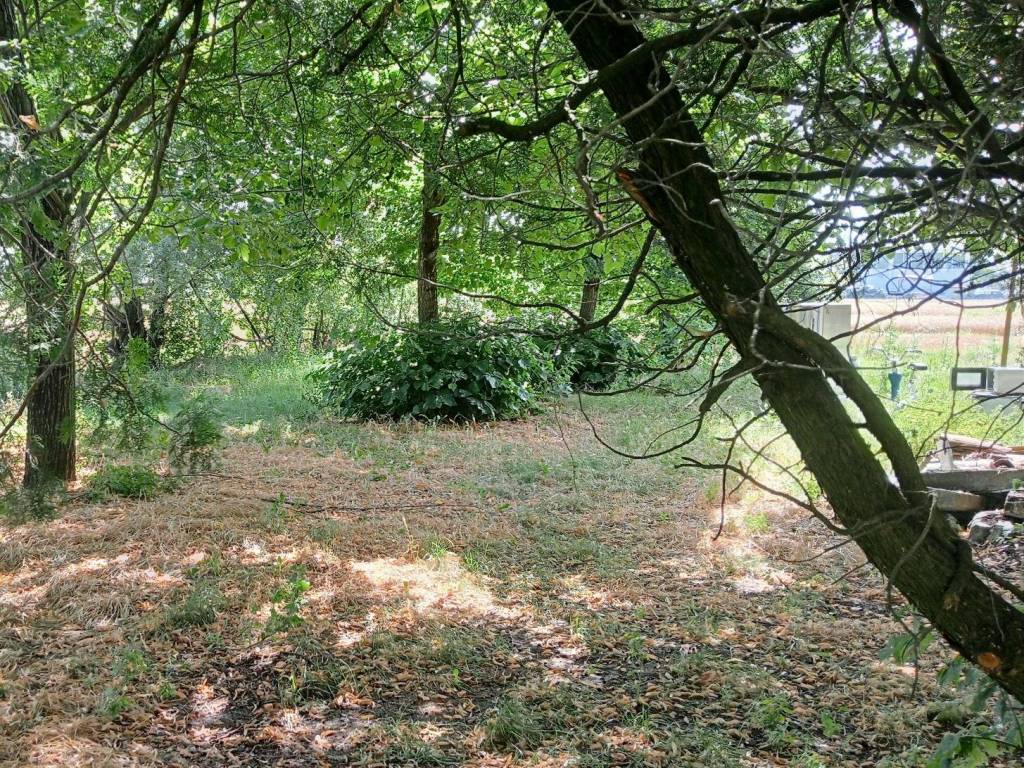 Rustico / casale a Lugo in Viale De' Brozzi, 26 - Foto 3
