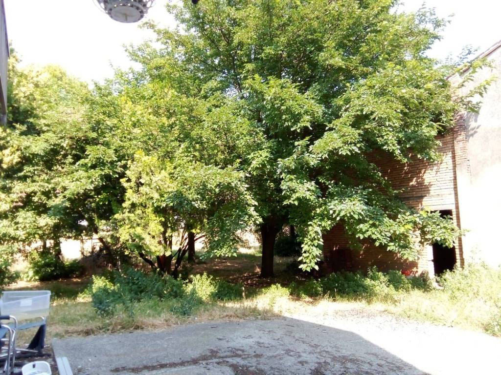 Rustico / casale a Lugo in Viale De' Brozzi, 26 - Foto 5