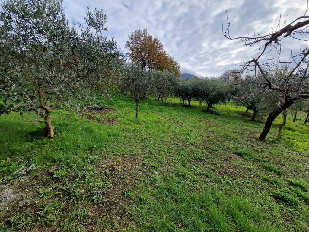Casa indipendente a Sant'agata de' goti in Piazza Trieste - Foto 2