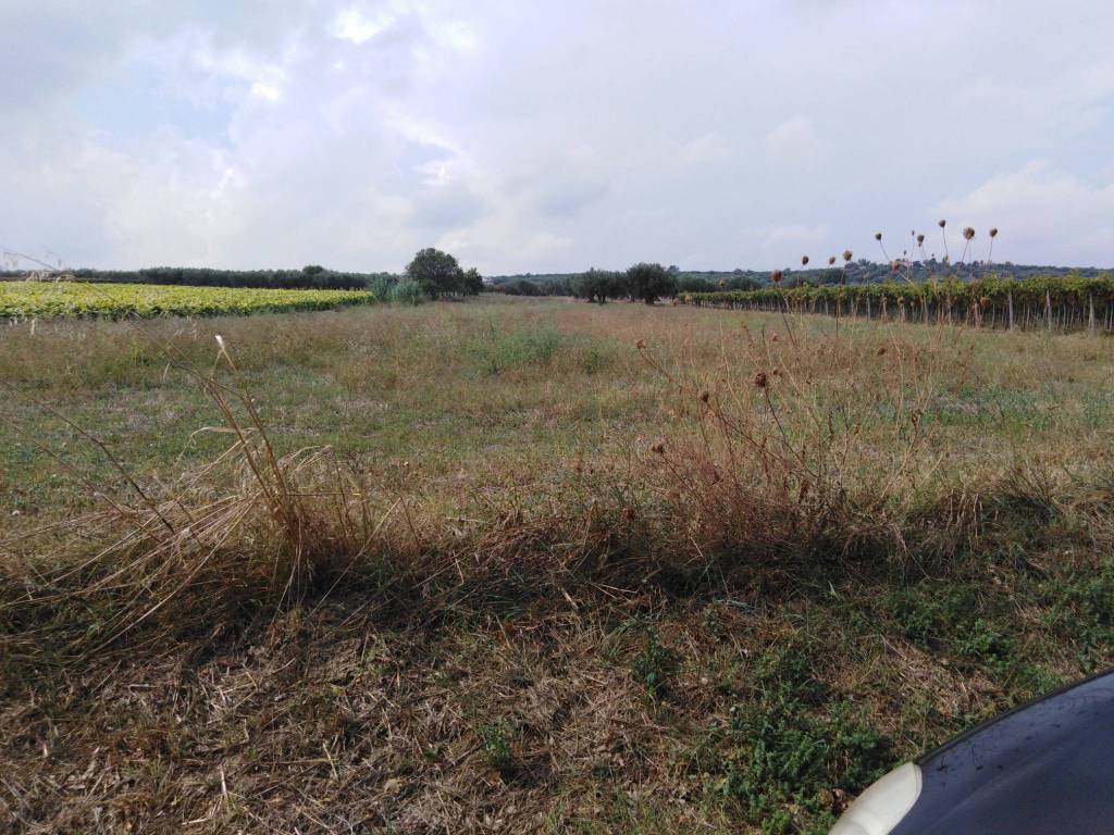 Terreno a Mozzagrogna in Fonte della Noce - Foto 2