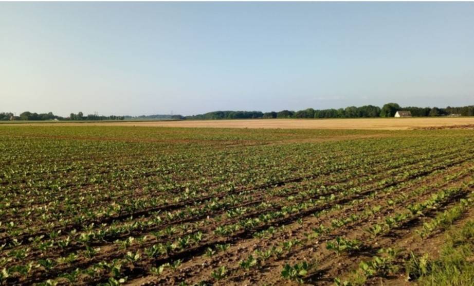 Terreno a Montecatini-terme in Via del Cassero - Foto 2