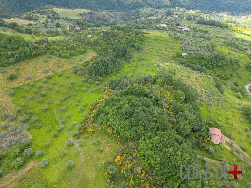 Terreno a Mompeo in Strada della Lavandara - Foto 2