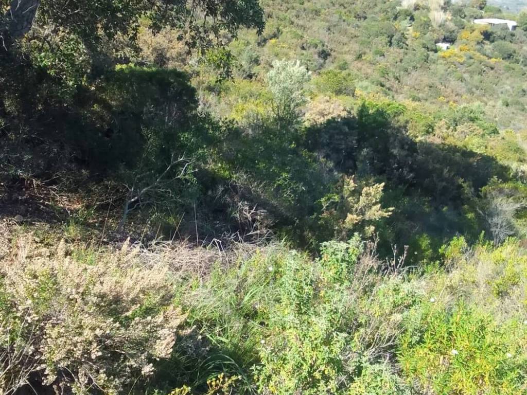 Terreno a Maracalagonis in Via Del Nibbio S.N.C. - Foto 2