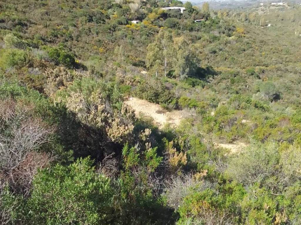 Terreno a Maracalagonis in Via Del Nibbio S.N.C. - Foto 3
