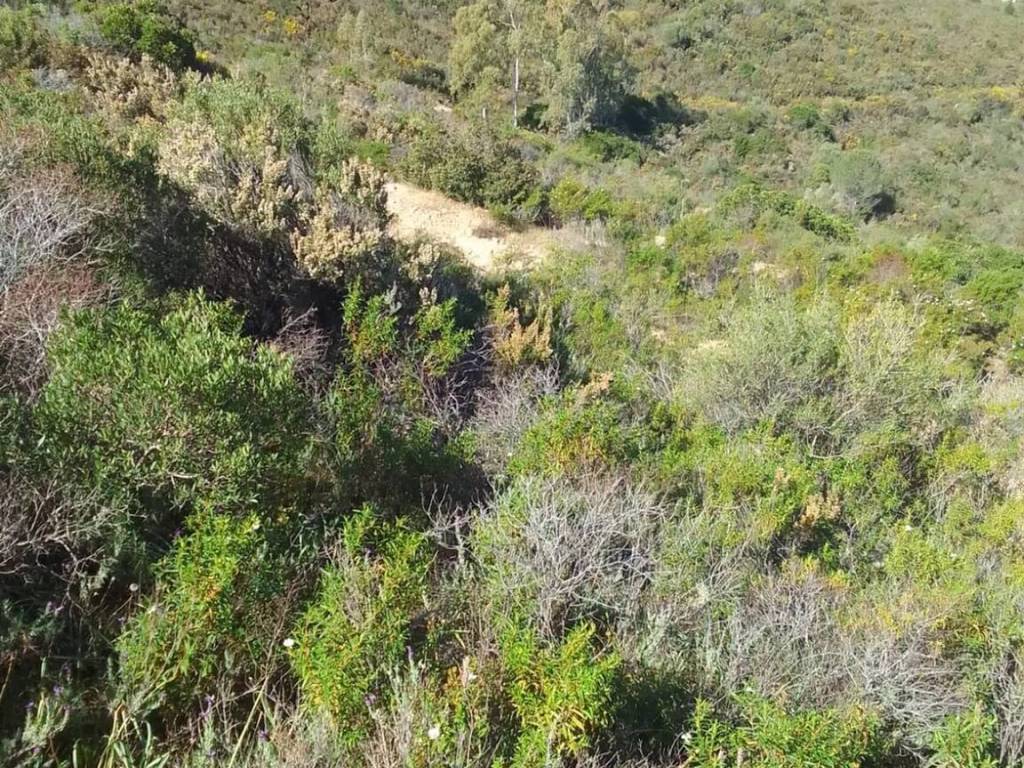 Terreno a Maracalagonis in Via Del Nibbio S.N.C. - Foto 4