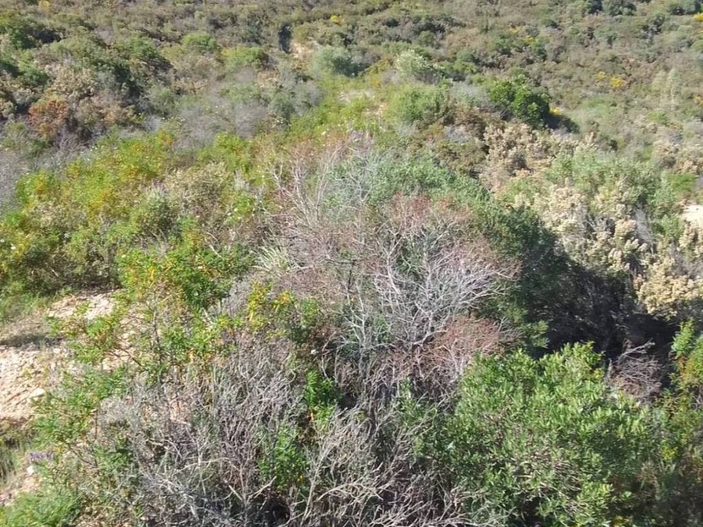 Terreno a Maracalagonis in Via Del Nibbio S.N.C. - Foto 5