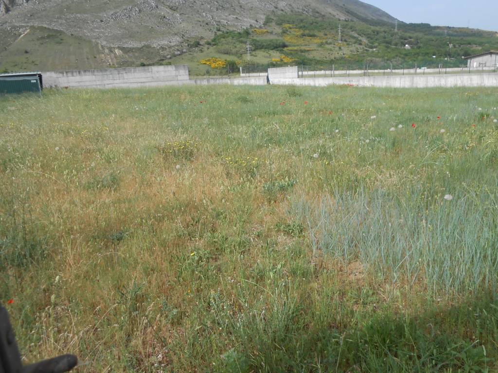 Terreno a Avezzano in Via Romana s.n.c - Foto 5