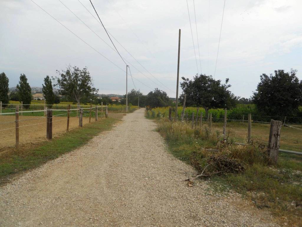 Terreno a Collecorvino in via delle piane collecorvino - Foto 2