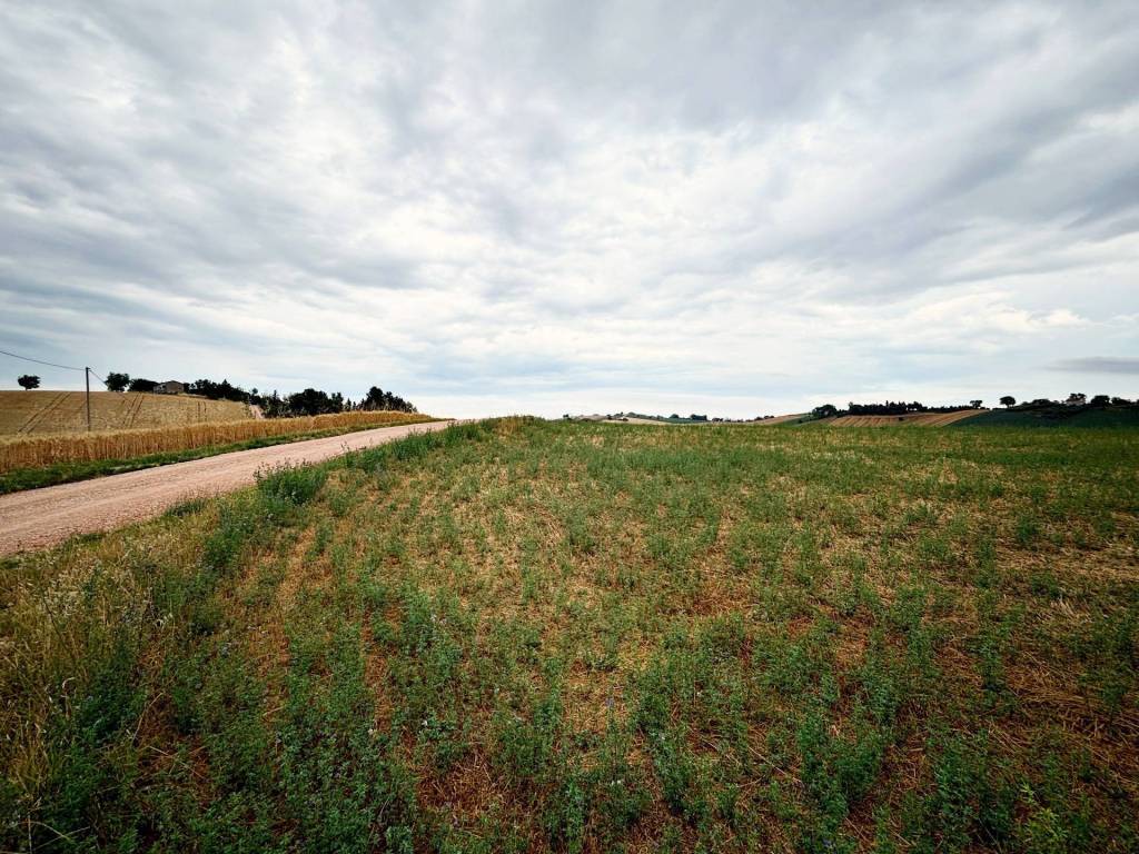 Terreno a Recanati in contrada montefiore - Foto 2