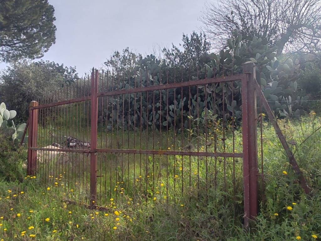 Rustico / casale a Bagheria - Foto 2