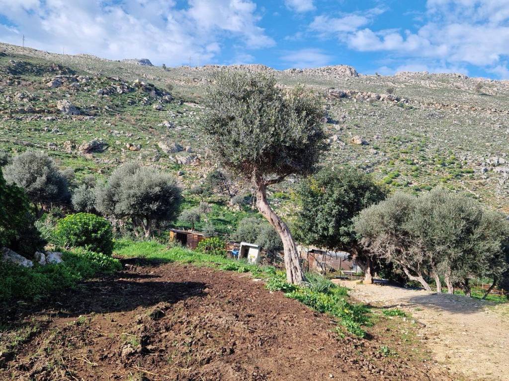 Terreno a Palermo in Via Piero della Francesca, 65 - Foto 5