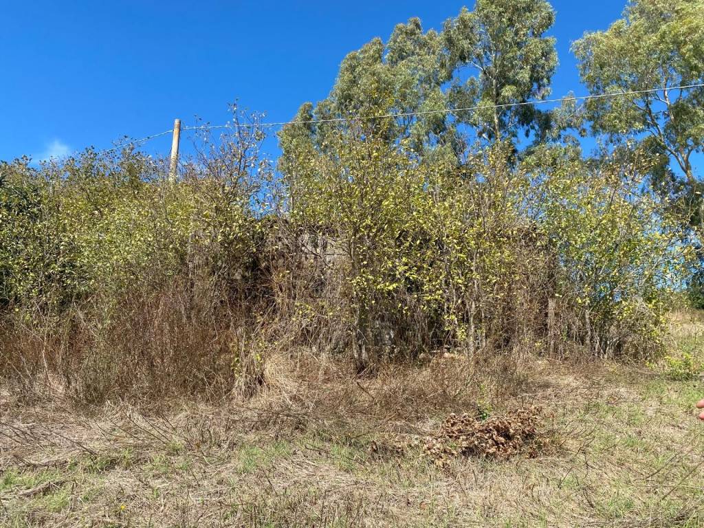 Rustico / casale a Caiazzo - Foto 2