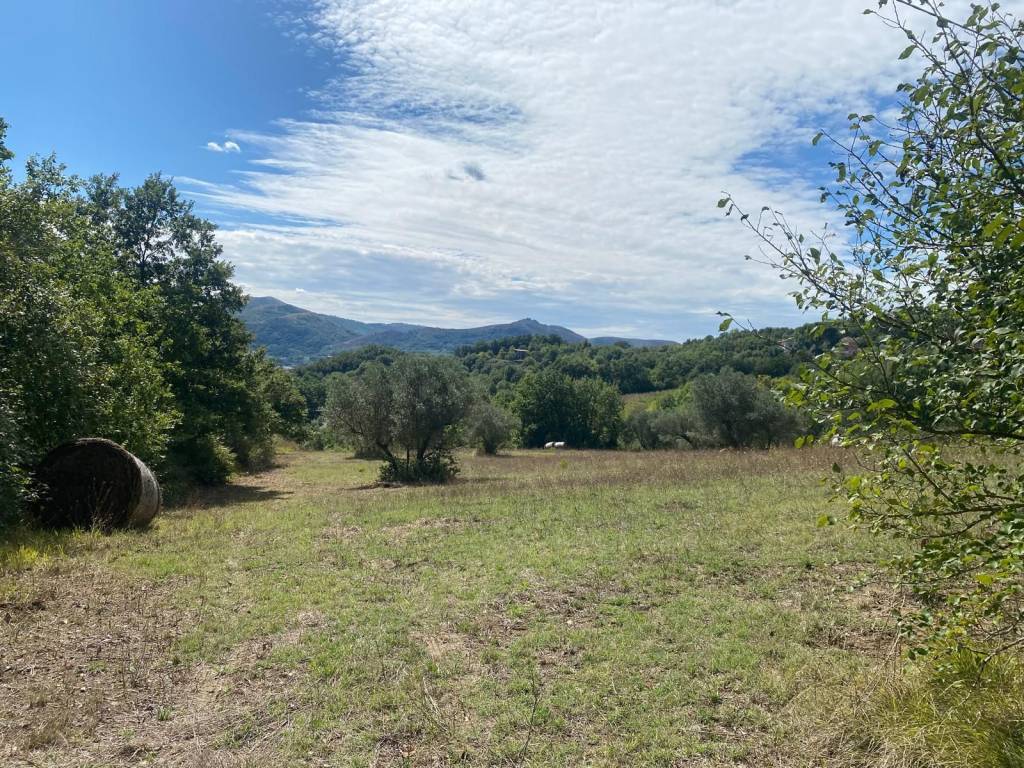 Rustico / casale a Caiazzo - Foto 5