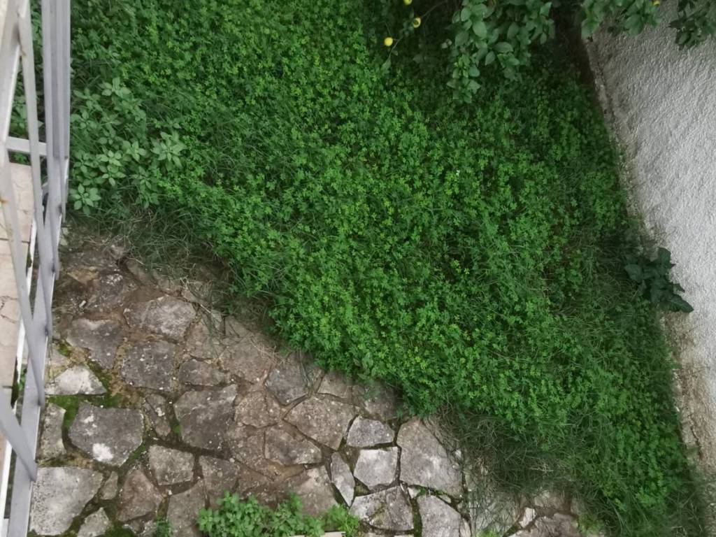 Appartamento a Soverato in Via P. Tropea - Foto 4