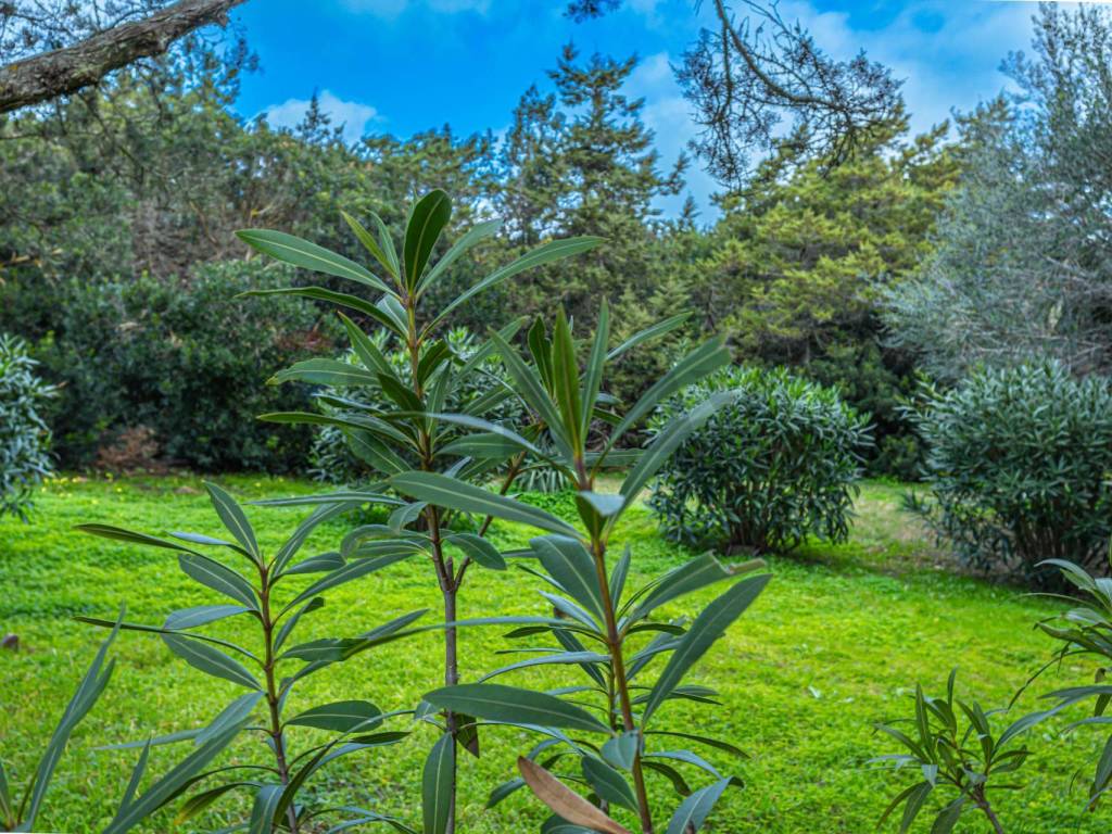 Casa indipendente a Stintino in Località Punta Negra, 25 - Foto 4