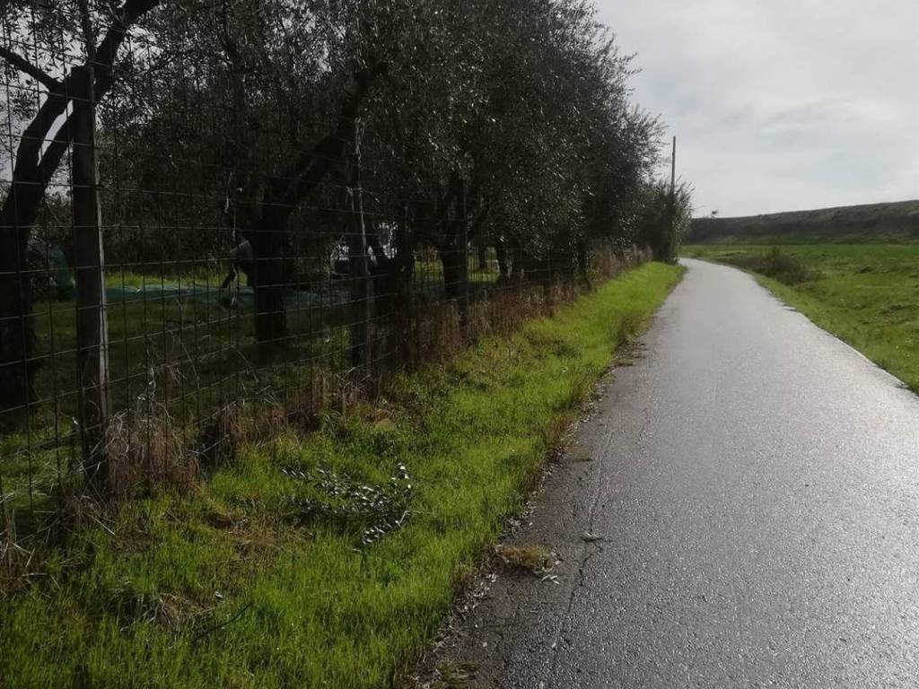 Terreno a Prato - Foto 2