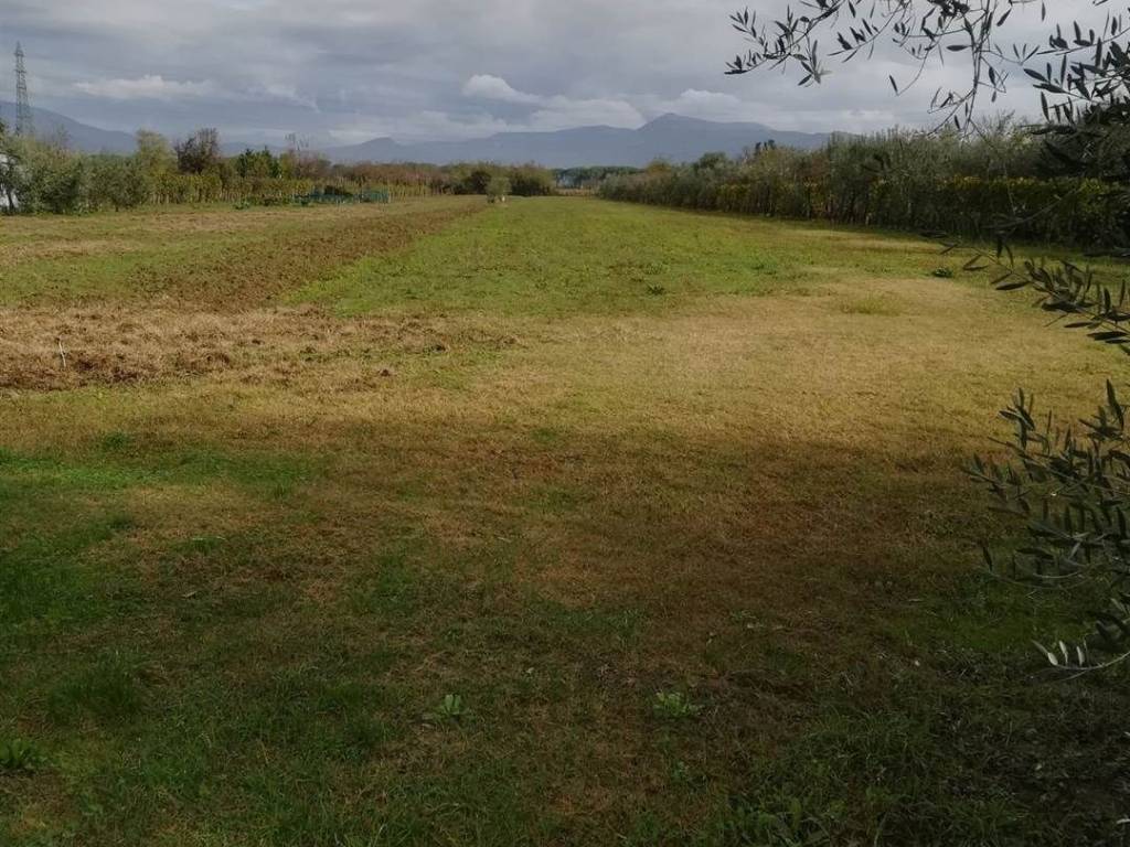 Terreno a Prato - Foto 3