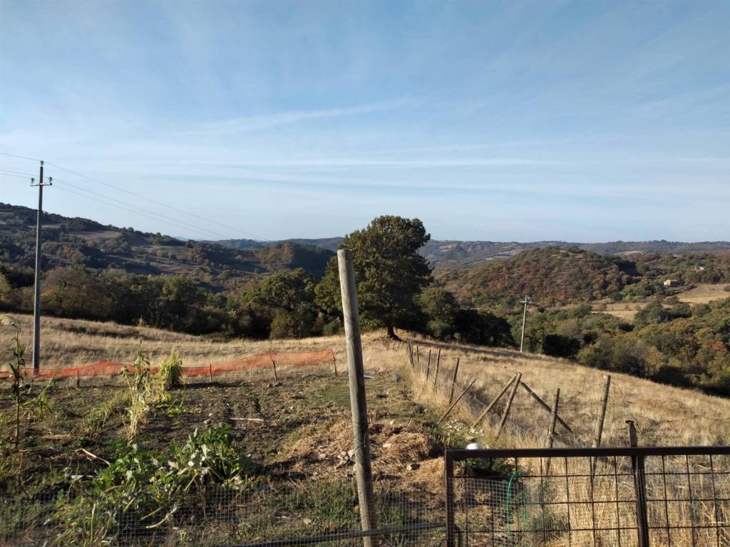 Terreno a Roccalbegna - Foto 3