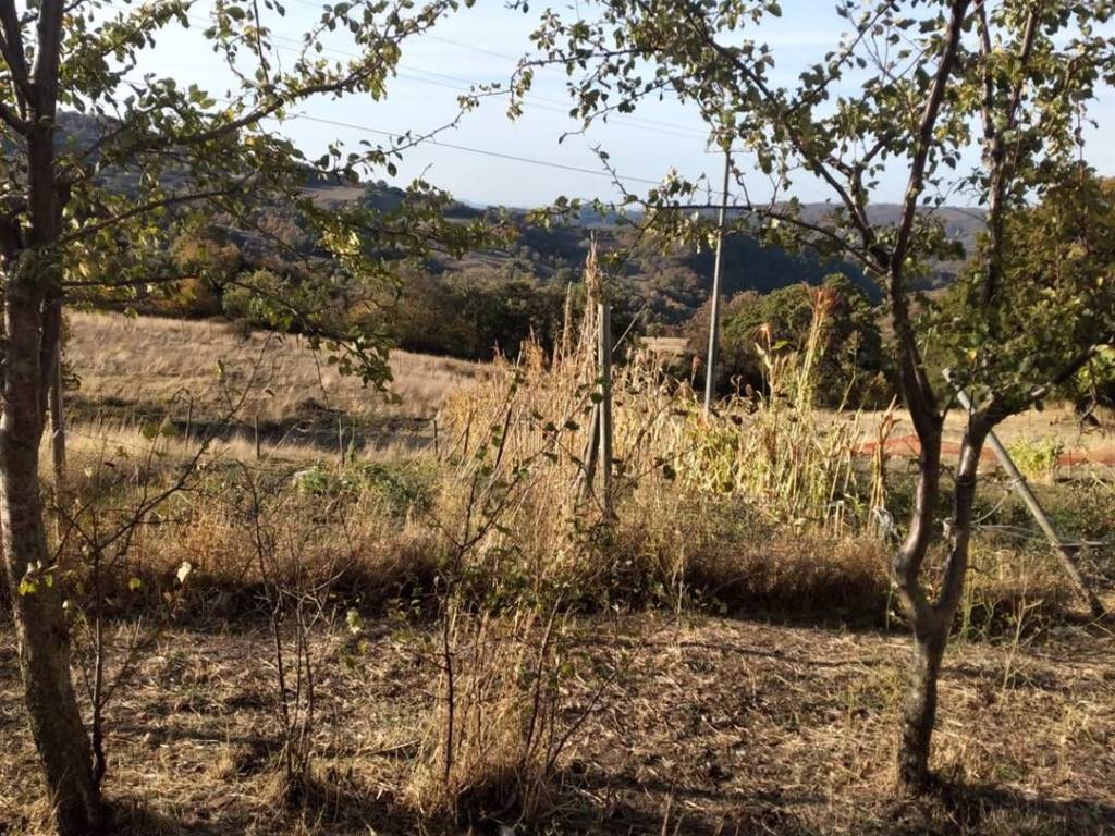 Terreno a Roccalbegna - Foto 4