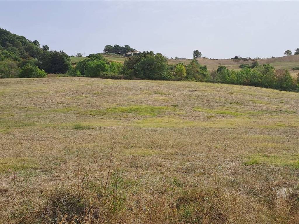 Terreno a Roccalbegna - Foto 5