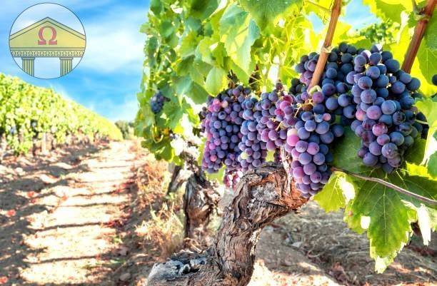 Terreno a Treviso - Foto 2