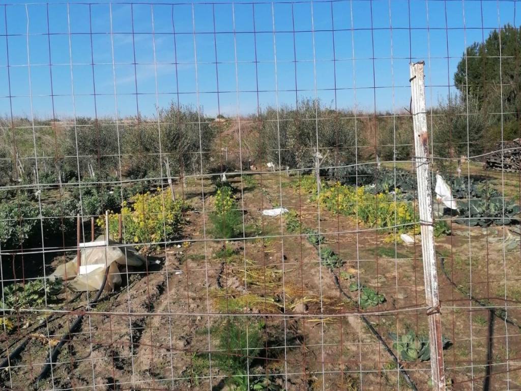 Villa a Barletta in Contrada Fiumara, 74 - Foto 2