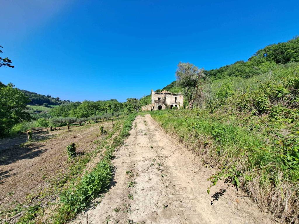 Rustico / casale a Treglio in C.DA CASTELLANA - Foto 4