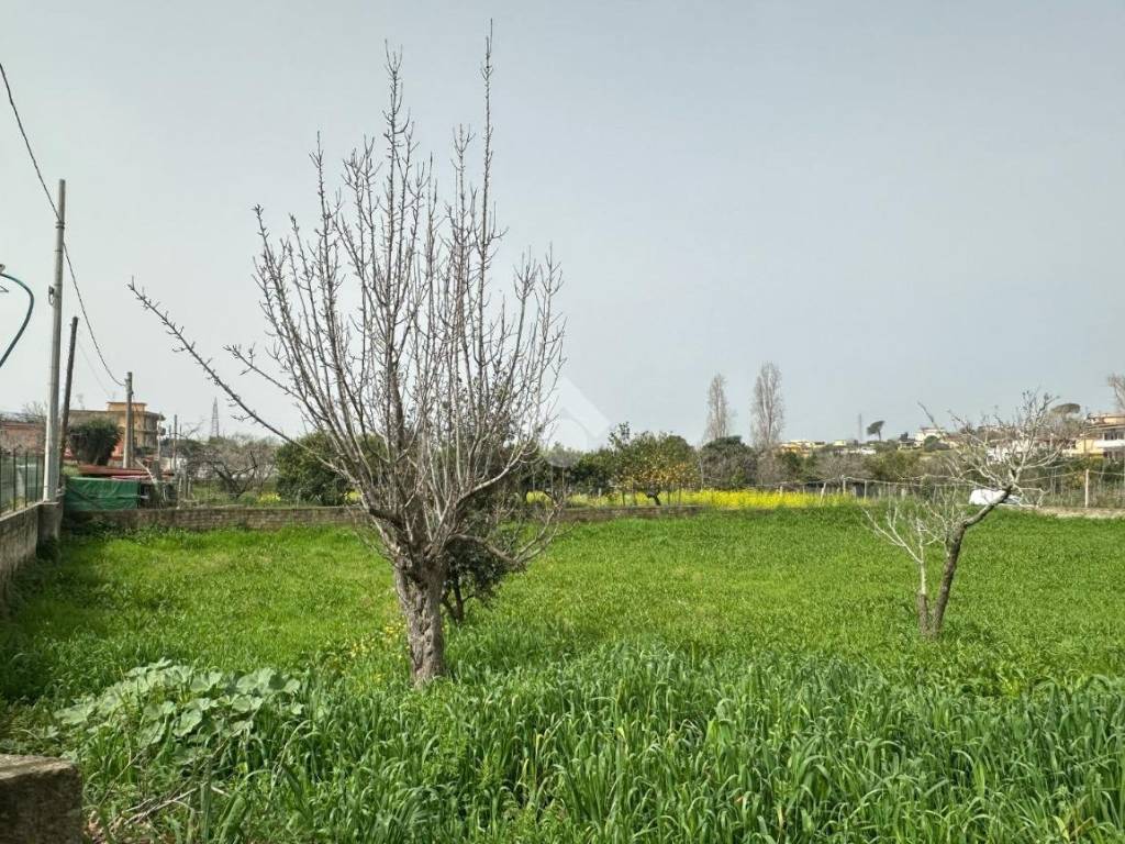 Terreno a Bacoli in Via Santa Giuliana - Foto 3