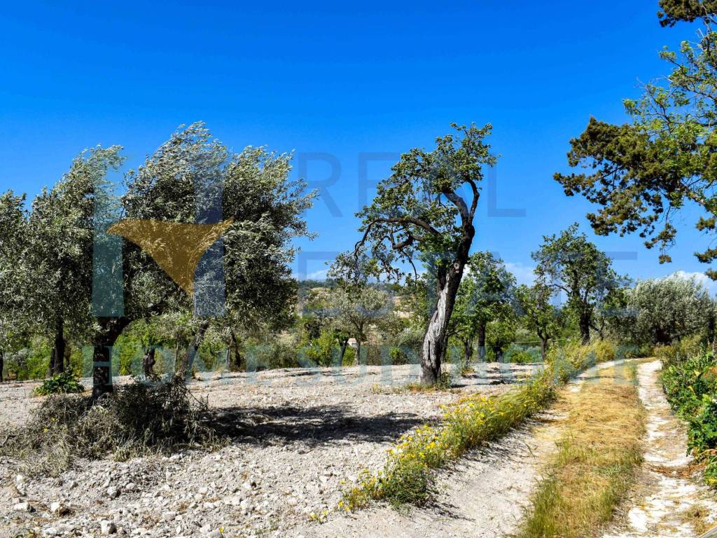 Rustico / casale a Noto in Via Tommaso Fazello, 228 - Foto 3