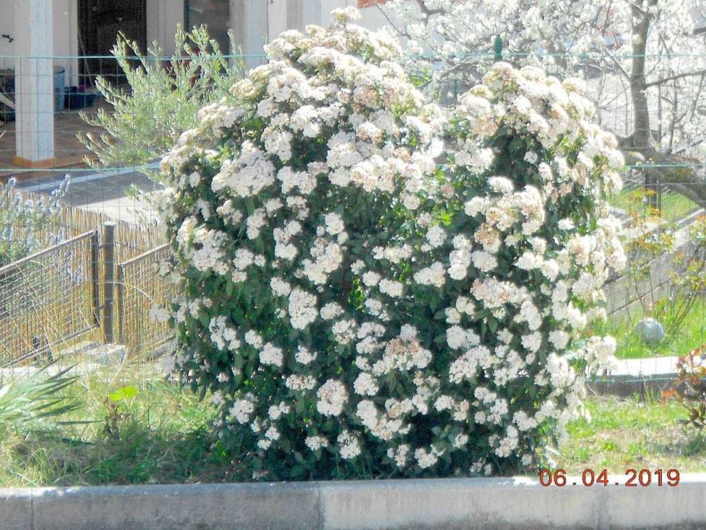 Appartamento a Agnone in Via delle Civitelle - Foto 4