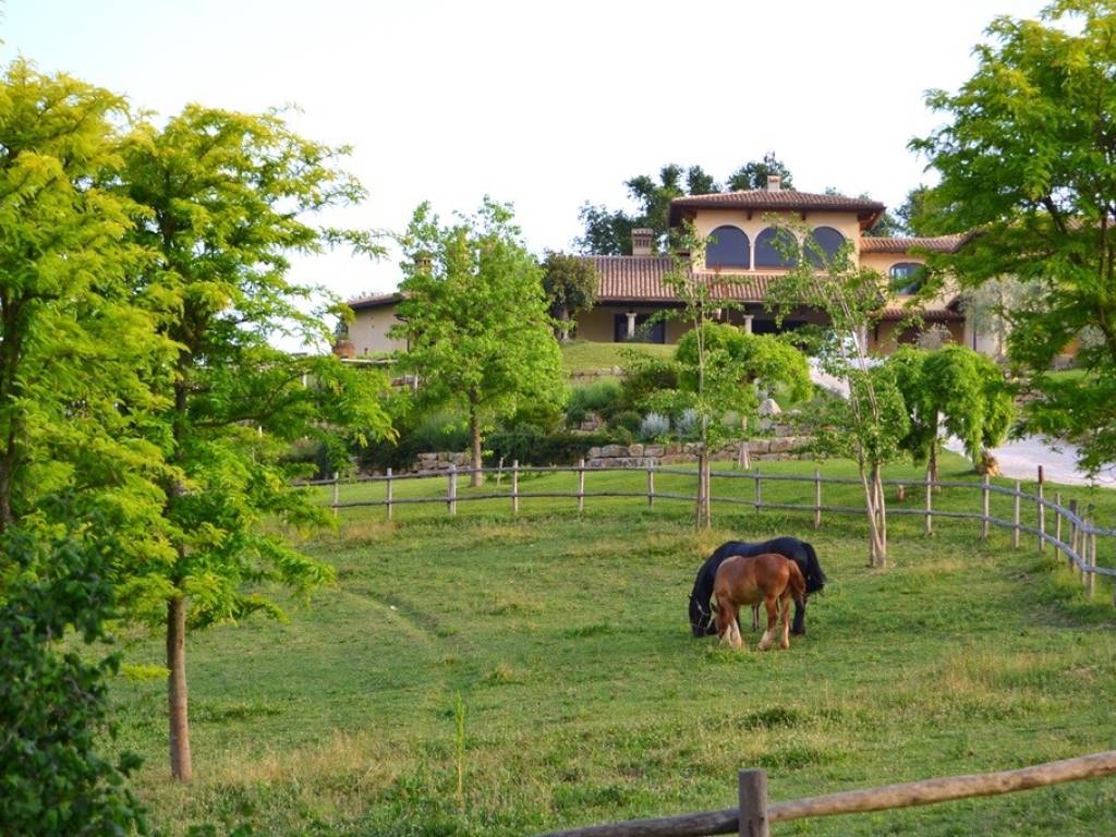 Villa a Poggio catino in Via Galantina - Foto 4